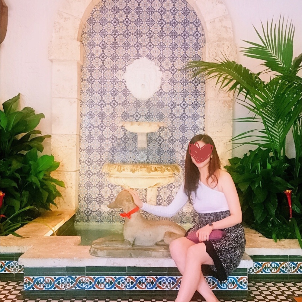 American Apparel Asymmetrical Top